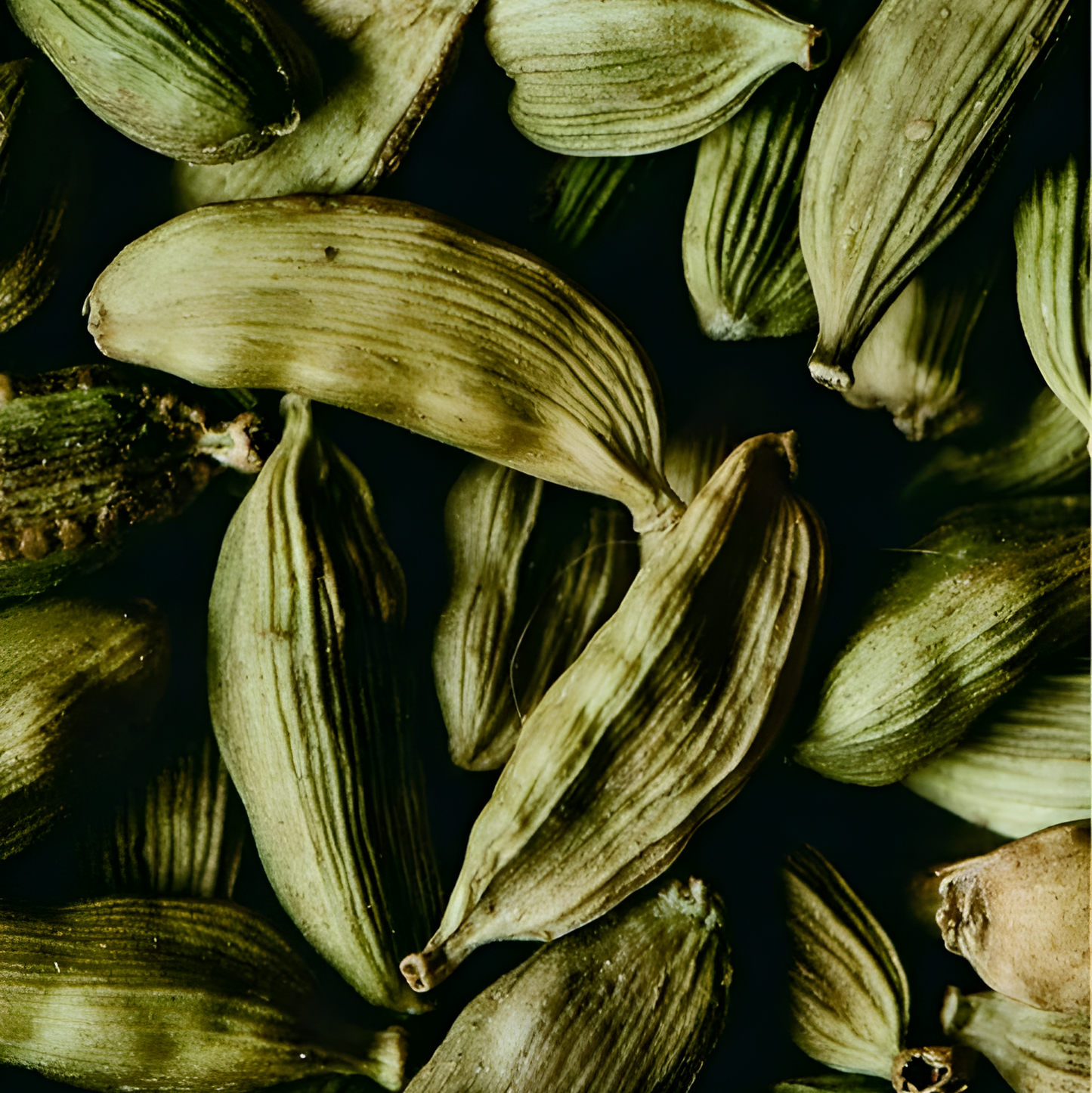 Hand & Body Wash, Ginger & Smoky Cardamom